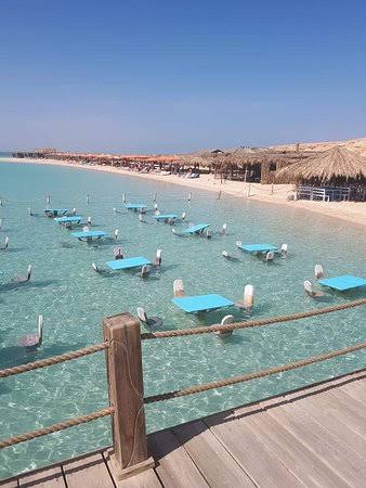 orange island